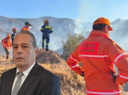 palmas_pirkagia_pedio_volis