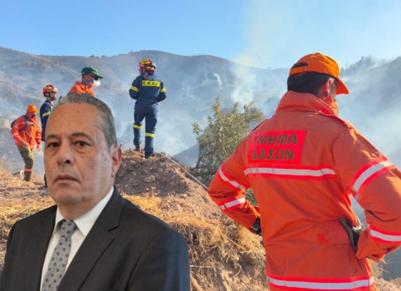 palmas_pirkagia_pedio_volis