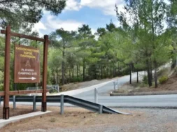 platania_kataskhnotikos_xoros_1-large_thumbnail