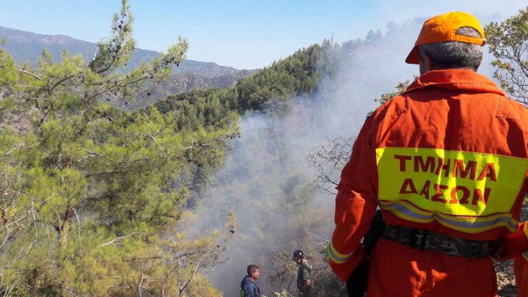 Σε επίπεδο κόκκινου συναγερμού ο κίνδυνος πρόκλησης δασικών πυρκαγιών