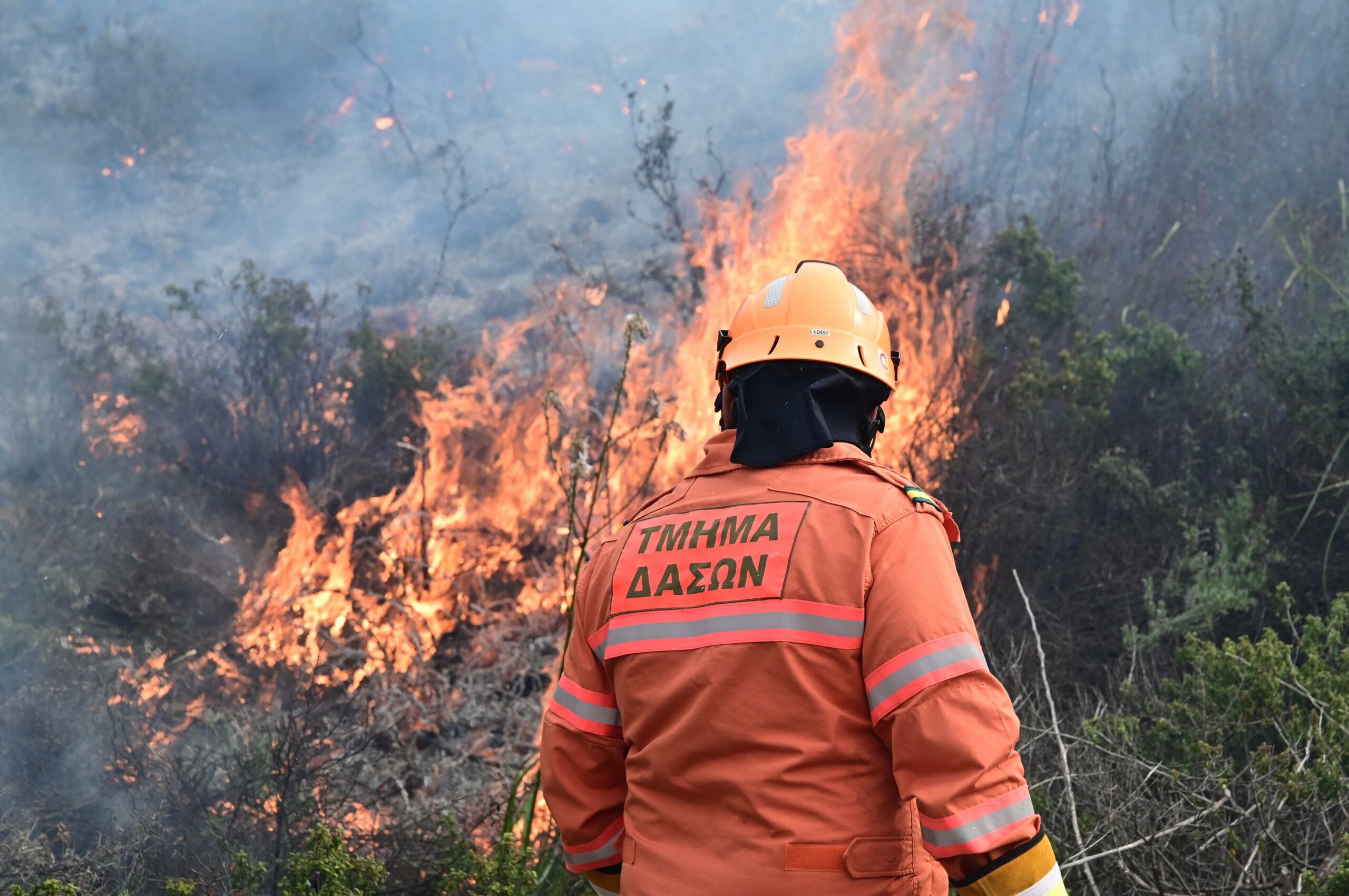 «Κόκκινος Συναγερμός» για δασικές πυρκαγιές – Σε επιφυλακή το Τμήμα Δασών