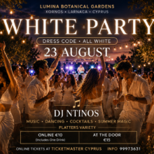 white party 800W x 538H pixels