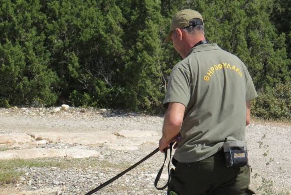 Χειροπέδες σε θηροφύλακα στη Λεμεσό – Ποιος ο λόγος