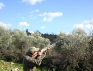 κυνηγι