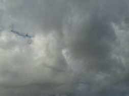 31a2ca97-c587-4015-b328-f1bf7b672b9d