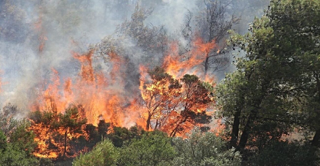ΤΩΡΑ: Πυρκαγιά στη Γιόλου της Πάφου – Στο σημείο ισχυρές δυνάμεις πυρόσβεσης