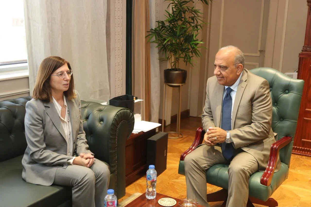 Συνάντηση στο Κάιρο για την ηλεκτρική διασύνδεση Κύπρου – Αιγύπτου είχε η Πρέσβης της Κυπριακής Δημοκρατίας