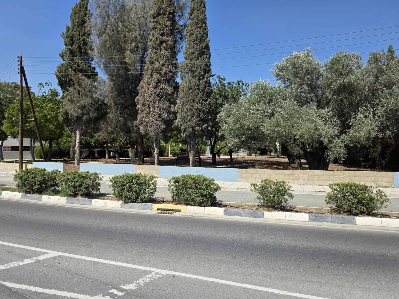 Σε εξέλιξη το κλάδεμα και η συντήρηση των 200 πάρκων της Βορόκληνης  (φώτο)