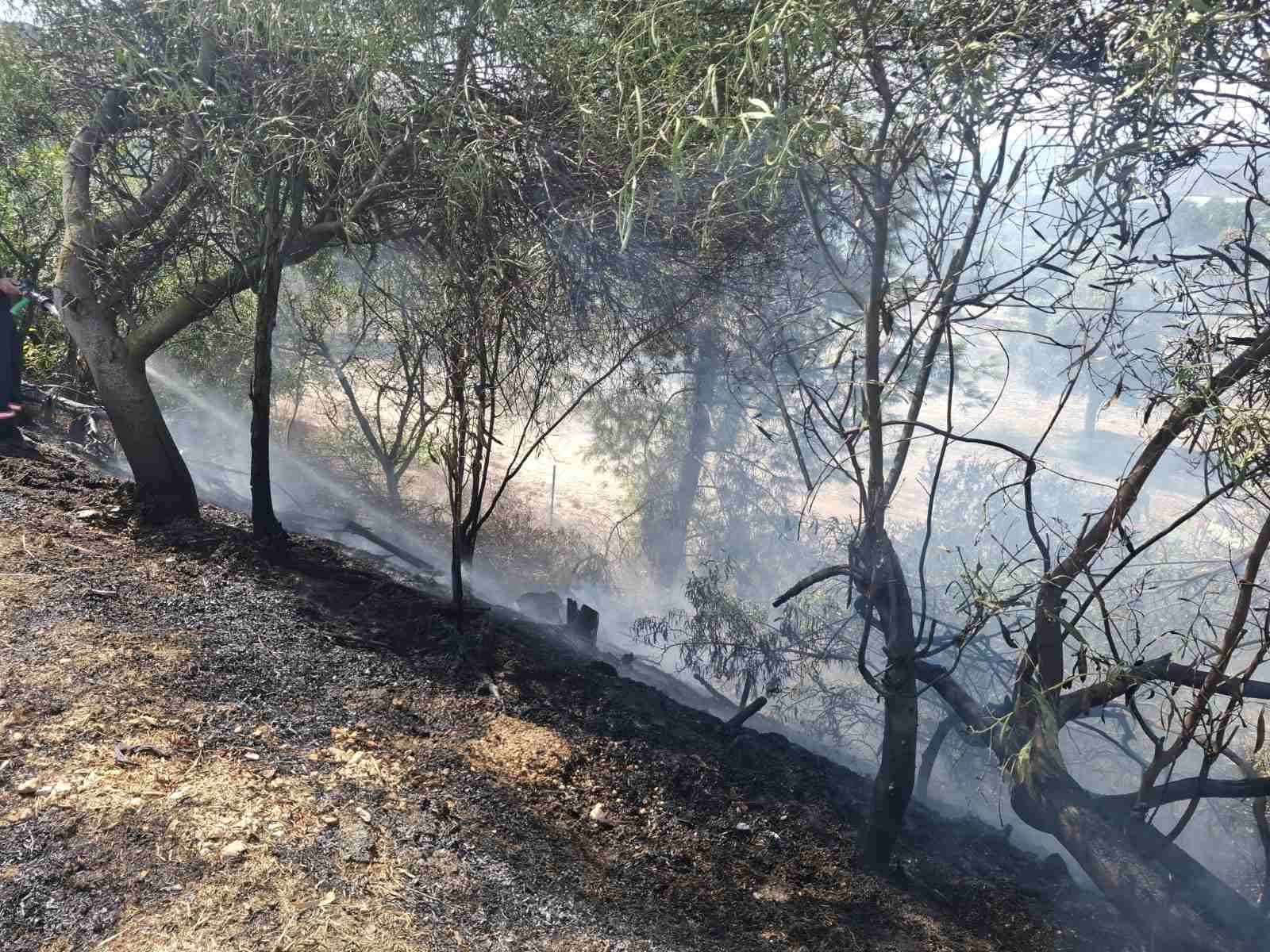 Πυρκαγιά στον αυτοκινητόδρομο προς Λευκωσία – Πιθανή αιτία αποτσίγαρο  (φώτο)