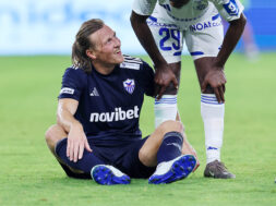 bergstrom-anorthosis