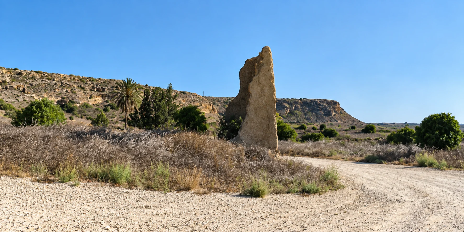 Νέες Φυλακές: Μέρος της περιοχής σε Natura, γειτνιάζει με τη νεκρή ζώνη