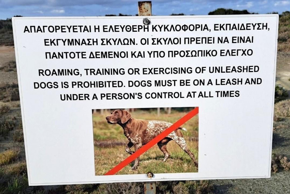 Σε εφαρμογή η Επιχείρηση «Hunter»: Αυξημένες περιπολίες ανακοίνωσαν οι ΒΒ – Επιστρατεύουν drones και κάμερες στις στολές των αστυνομικών