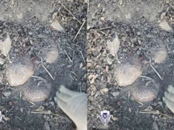 narkotika-large_thumbnail