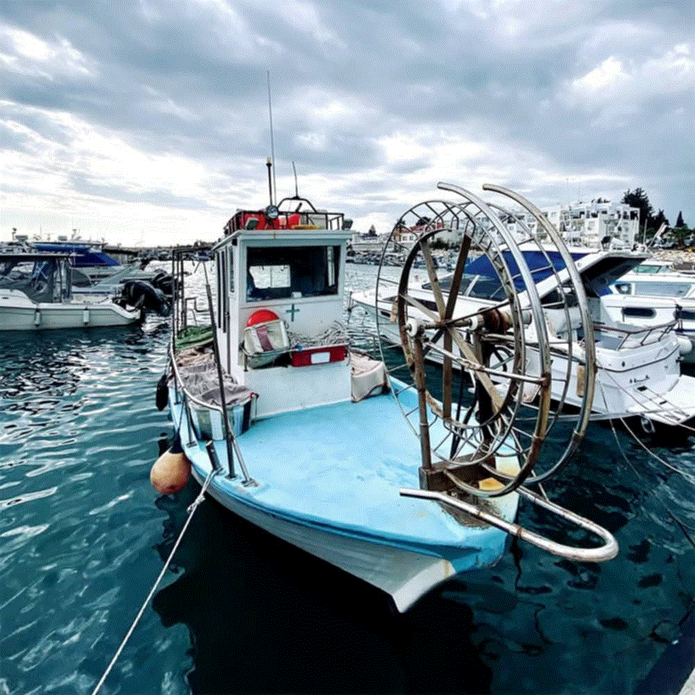 Η πρωινή ενημέρωση της ημέρας από τη Σκαλιώτισσα