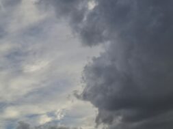 735d8071-fb1f-4c75-b177-019296973875