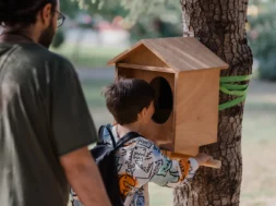 Birdboxes_3_1792397880