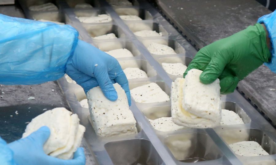 b_halloumi