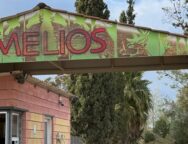 melios.2e16d0ba.fill-1375×729
