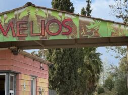 melios.2e16d0ba.fill-1375×729