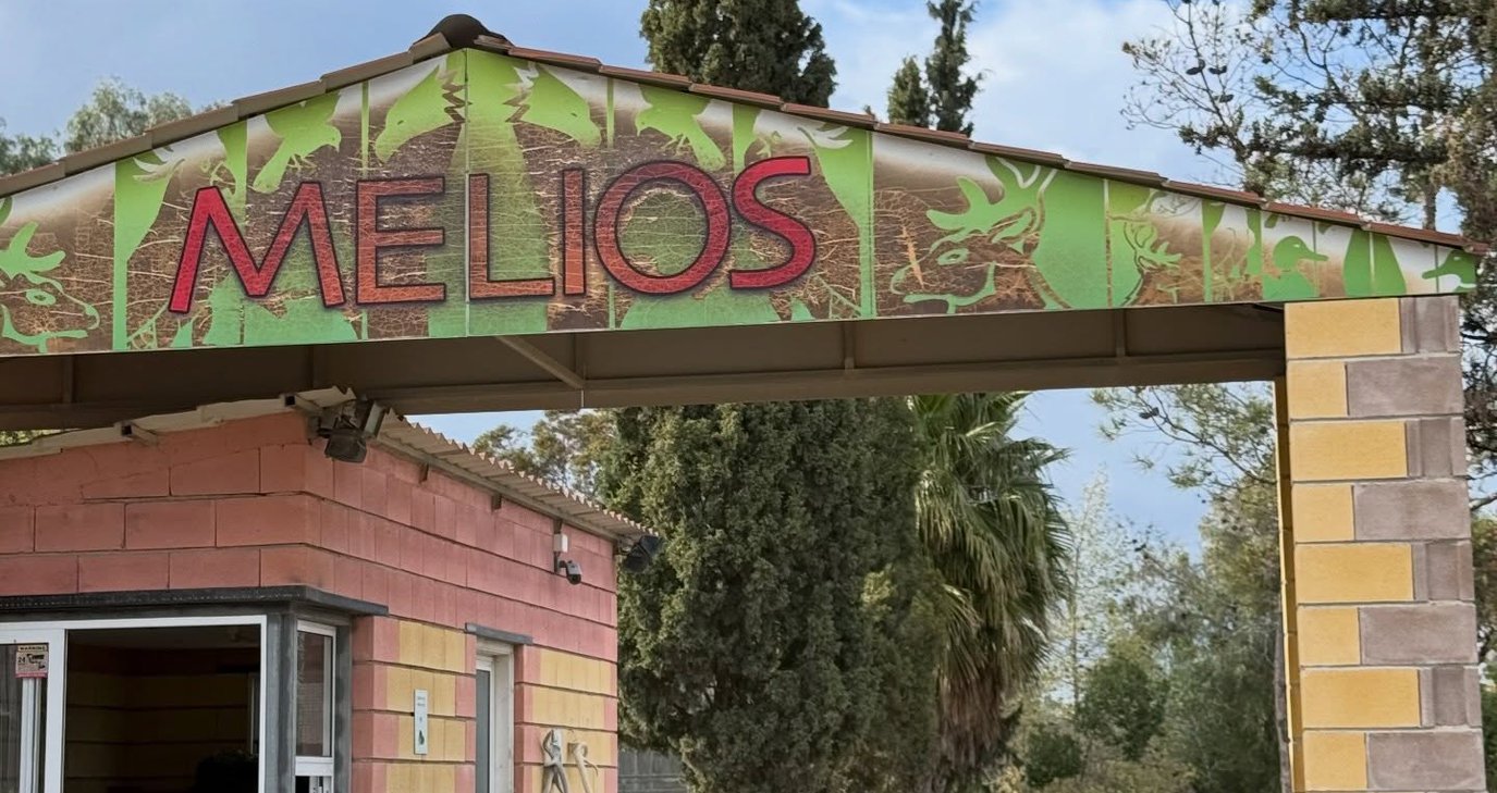 melios.2e16d0ba.fill-1375×729