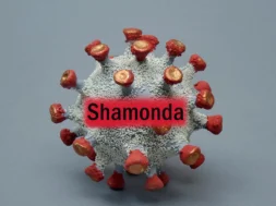 shamonda_virus_infektion_nutztiere_frankreich_100_1920x1080