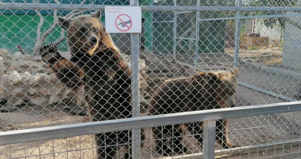 Επ.Περιβάλλοντος για Melios Zoo: Δικαστικές αποφάσεις για μη τήρηση νομοθεσιών