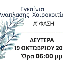 ΧΟΙΡΟΚ