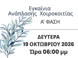 ΧΟΙΡΟΚ