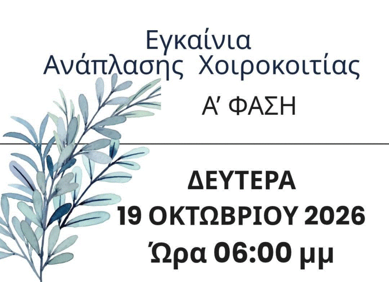 ΧΟΙΡΟΚ